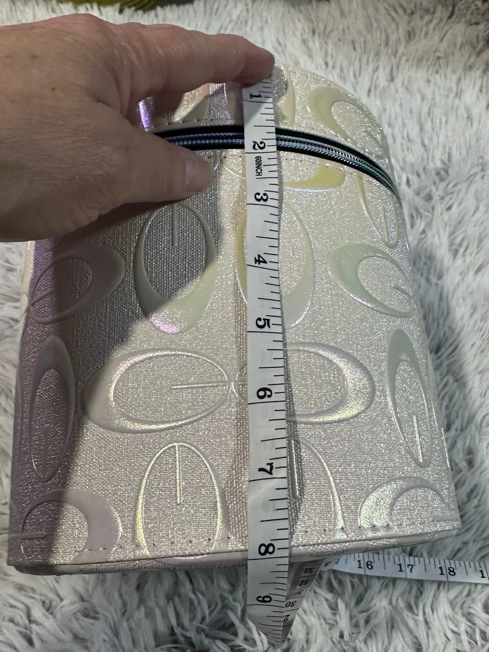 Iridescent large Cosmetic Bag case with Handle and Zipper
